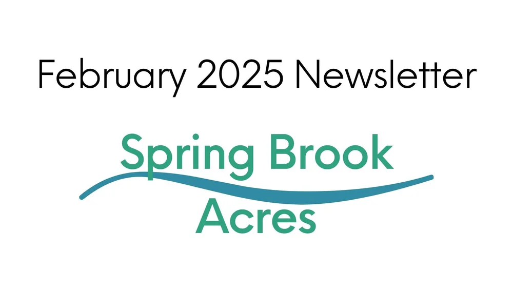 Spring Brook Newsletter — Springbrook Acres HOA