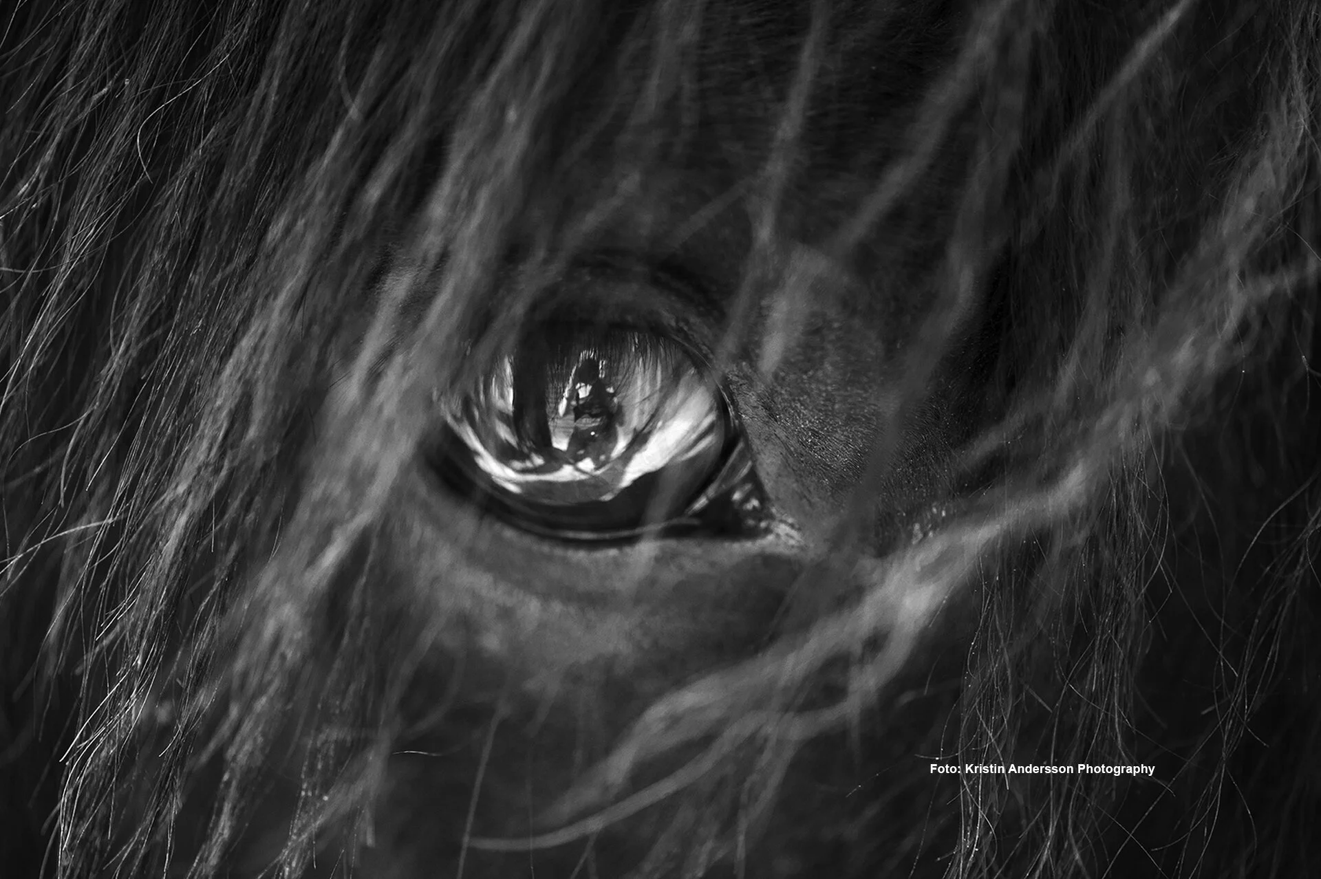 Front_1920_kristin_andersson_photography_7.jpg