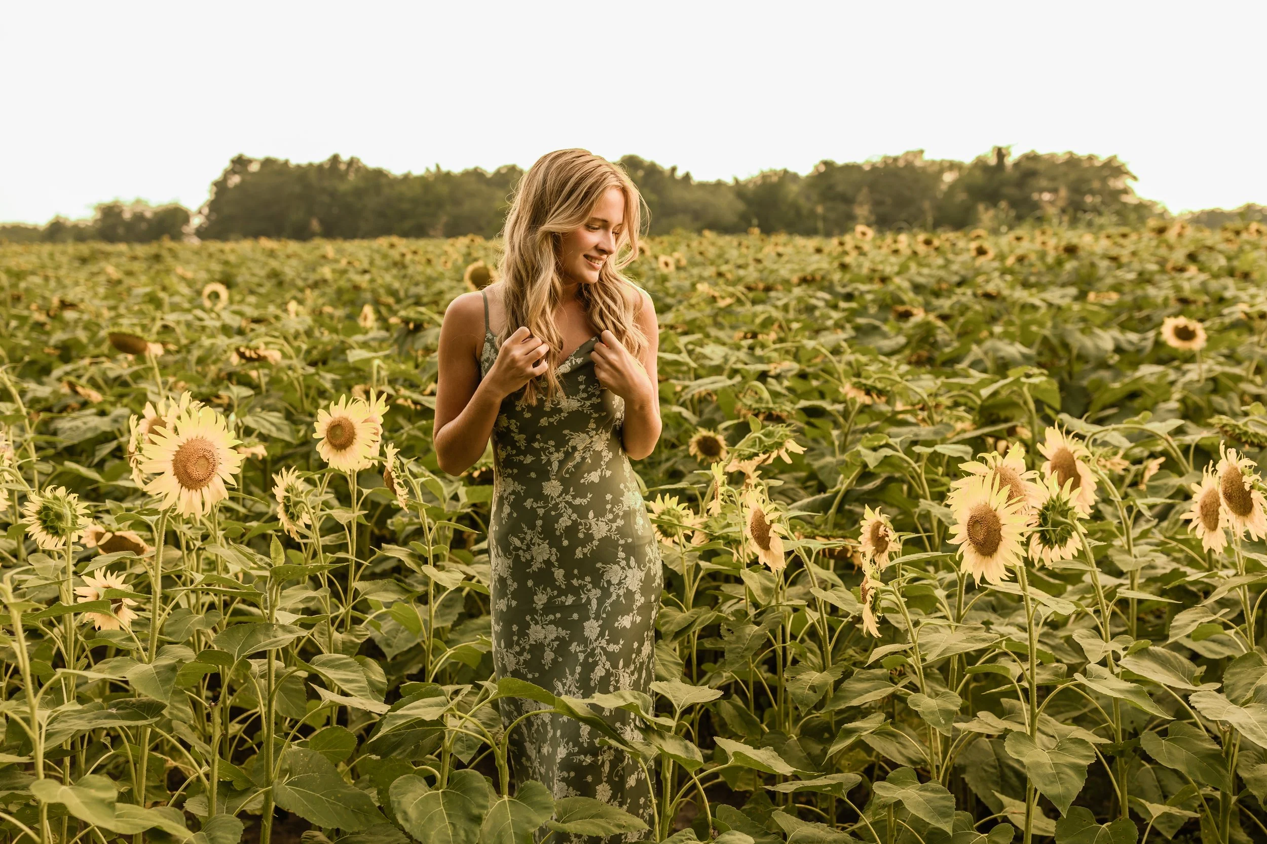Sunflower (38).jpg