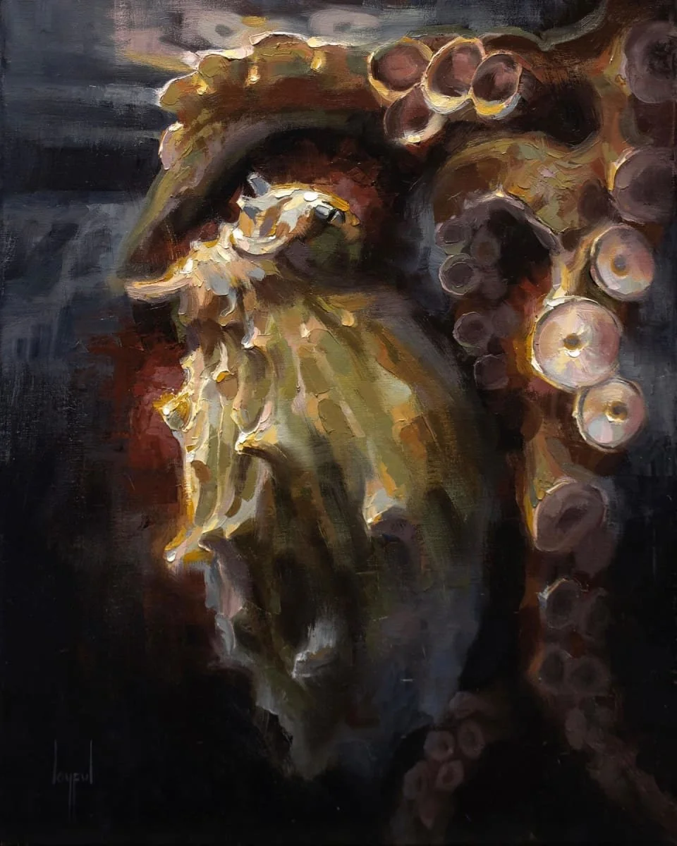 Octopus