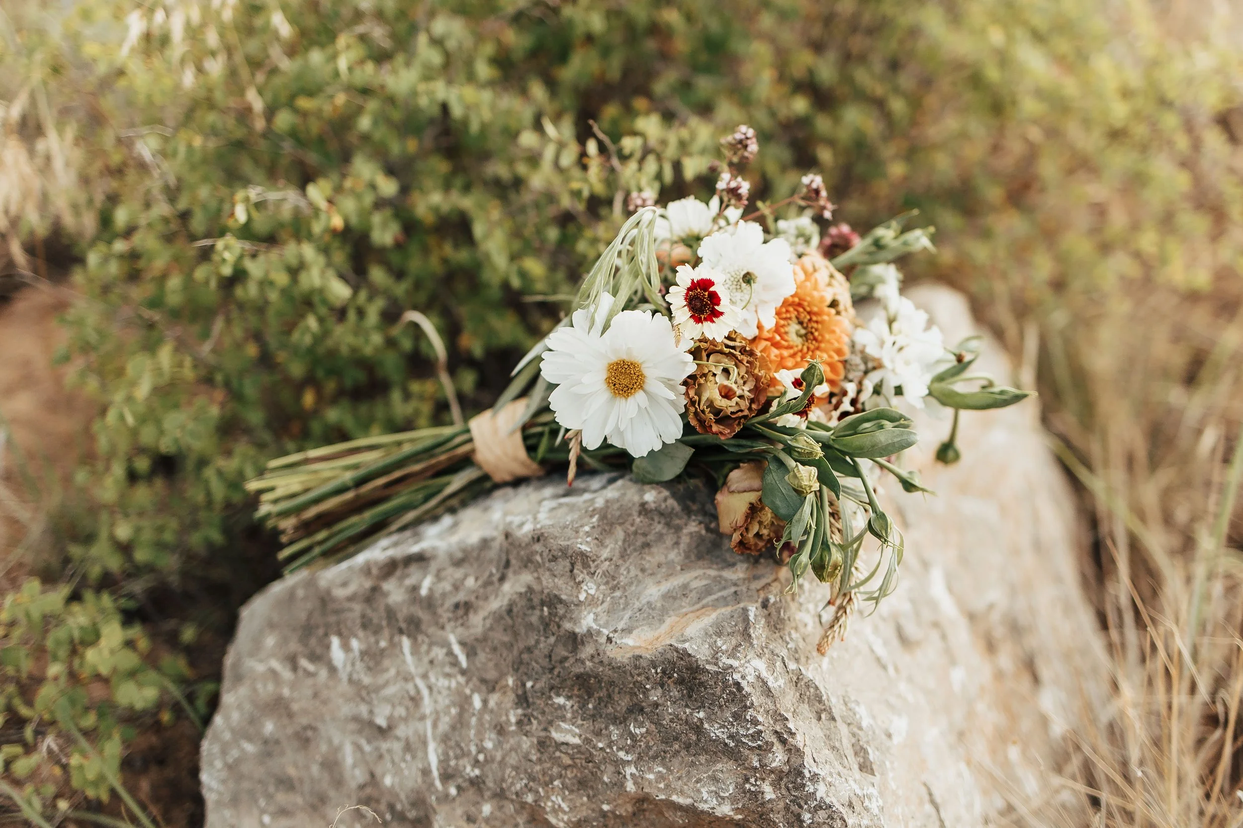 A & C's Full Service July Wedding - Photographs by Alicia Lucia Photography