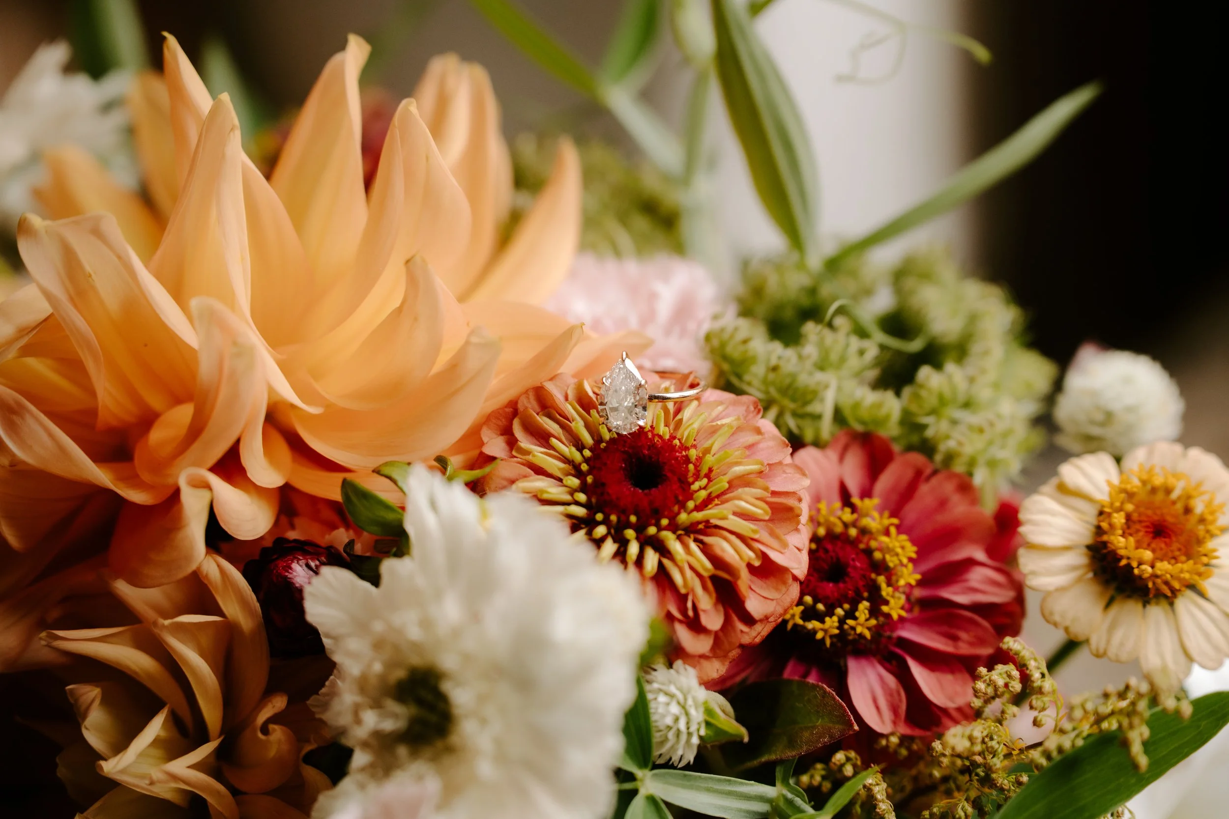 Marisa & Daniel's October à La Carte Wedding - Photographs by Samantha DAnna photography