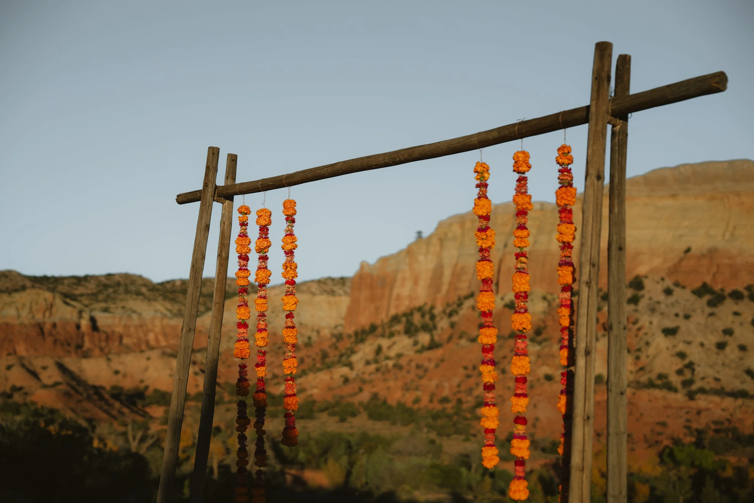 Alison & Nick's Full Service October Wedding - Photographs by Hayley Harper 