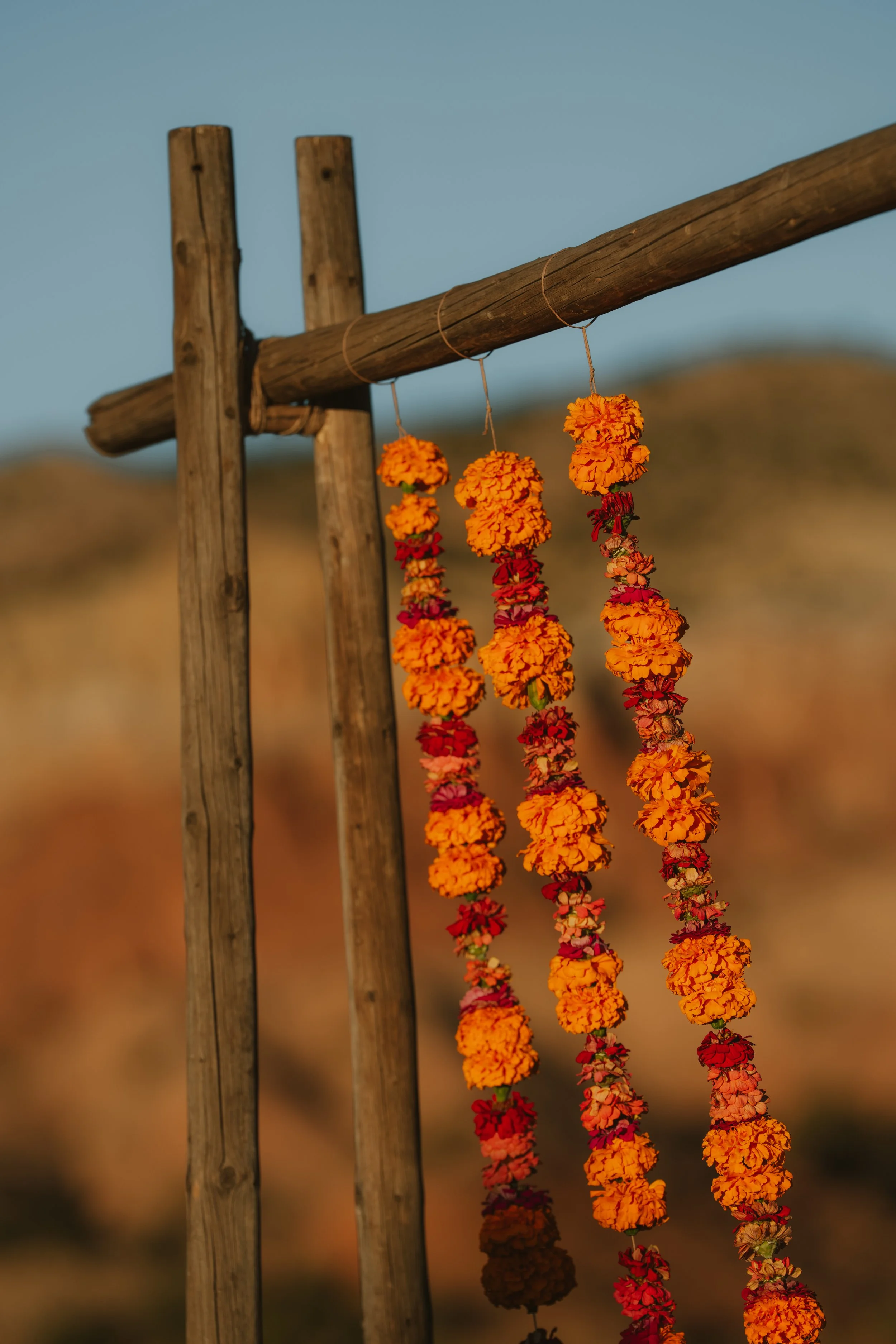 Alison & Nick's Full Service October Wedding - Photographs by Hayley Harper 