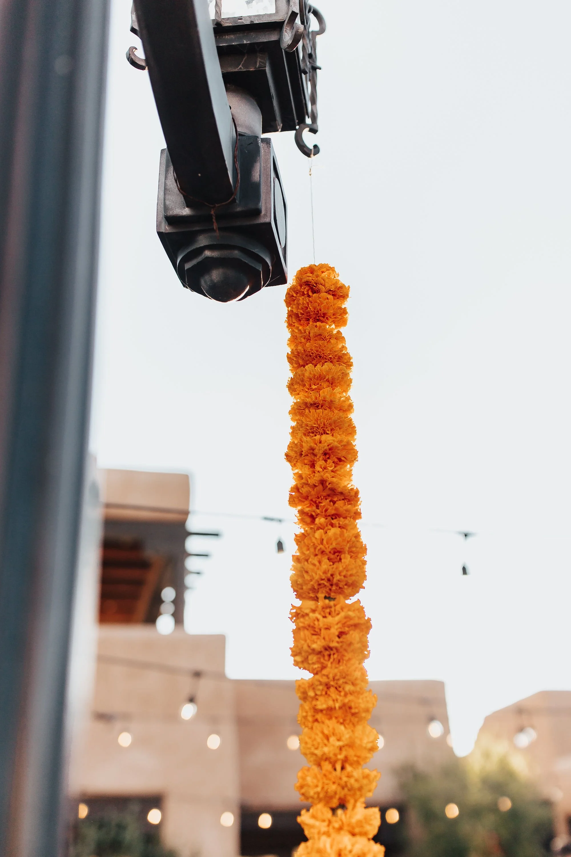 Audrey & George's  à La Carte September Wedding - photographs by Alicia Lucia Photography