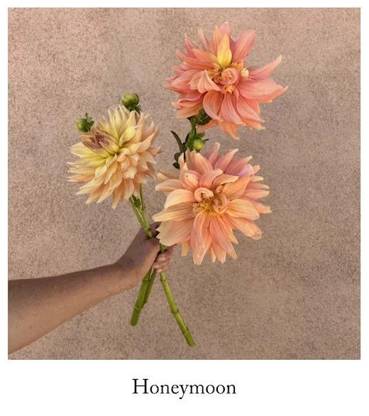 Honeymoon with label.jpg