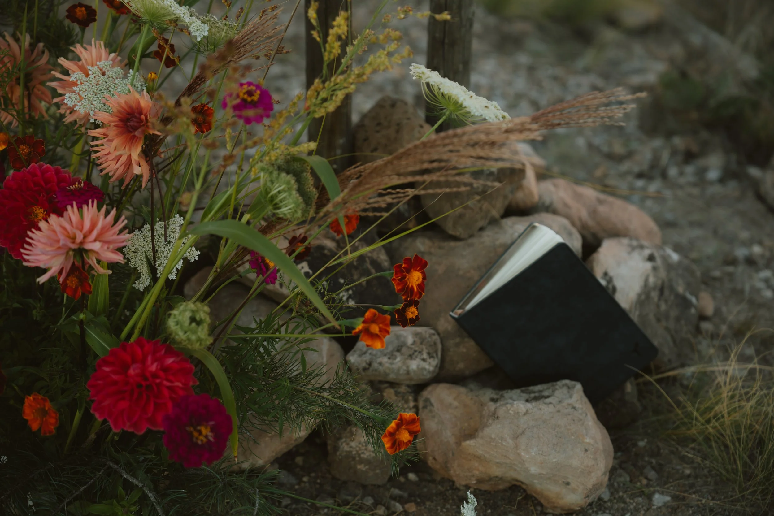 Alison & Nick's Full Service October Wedding - Photographs by Hayley Harper 