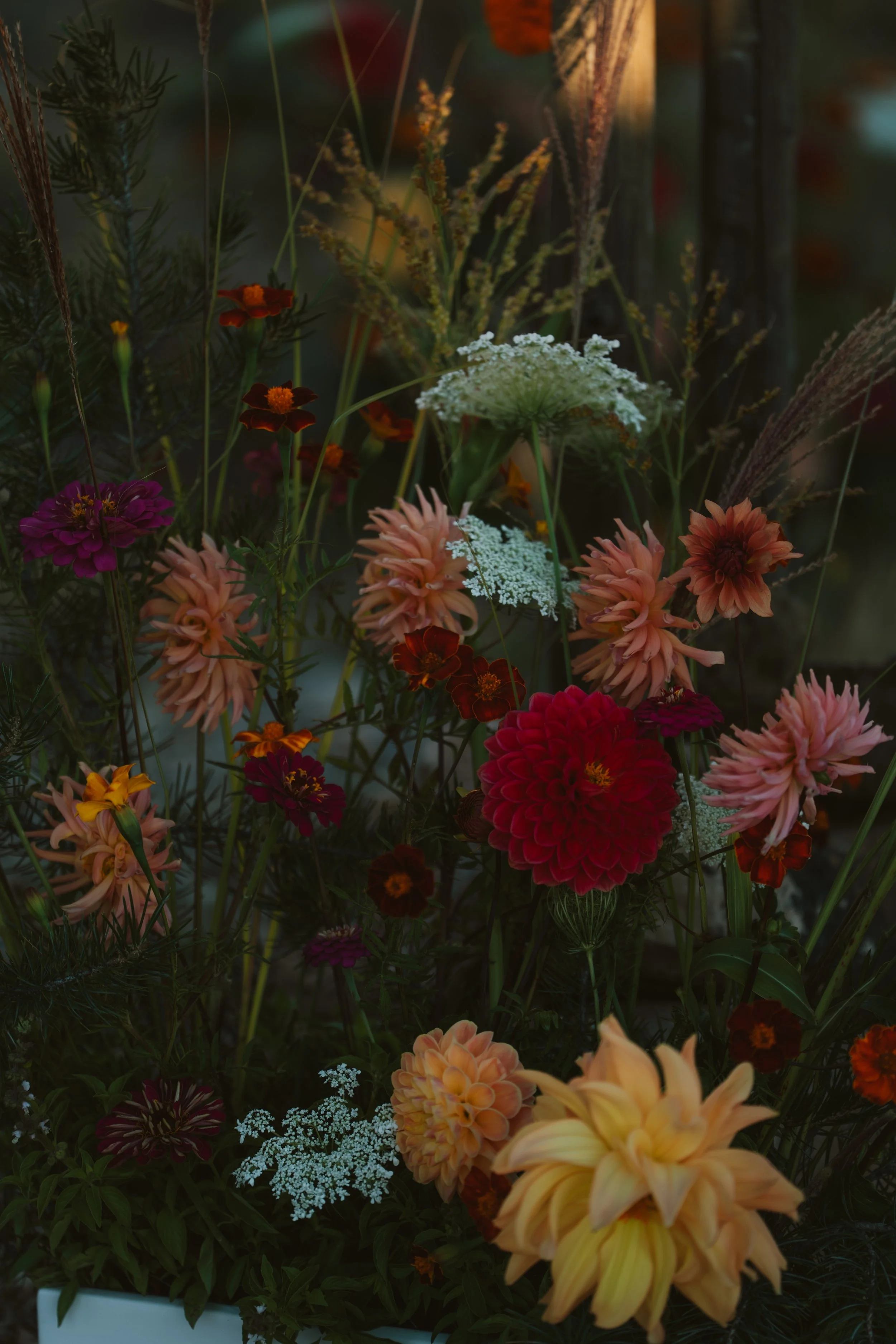 Alison & Nick's Full Service October Wedding - Photographs by Hayley Harper 