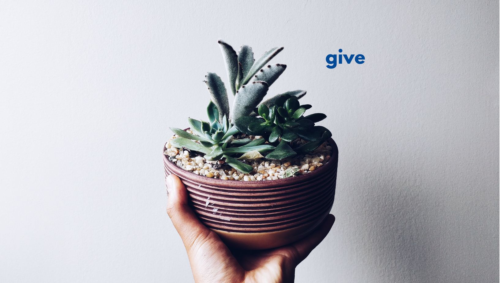 Give