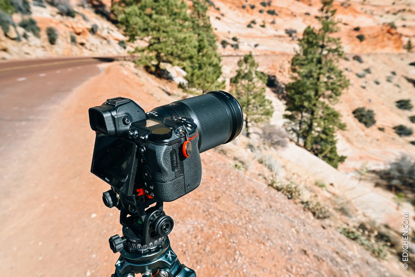 尼康28-400mm值不值得买，我的使用感受