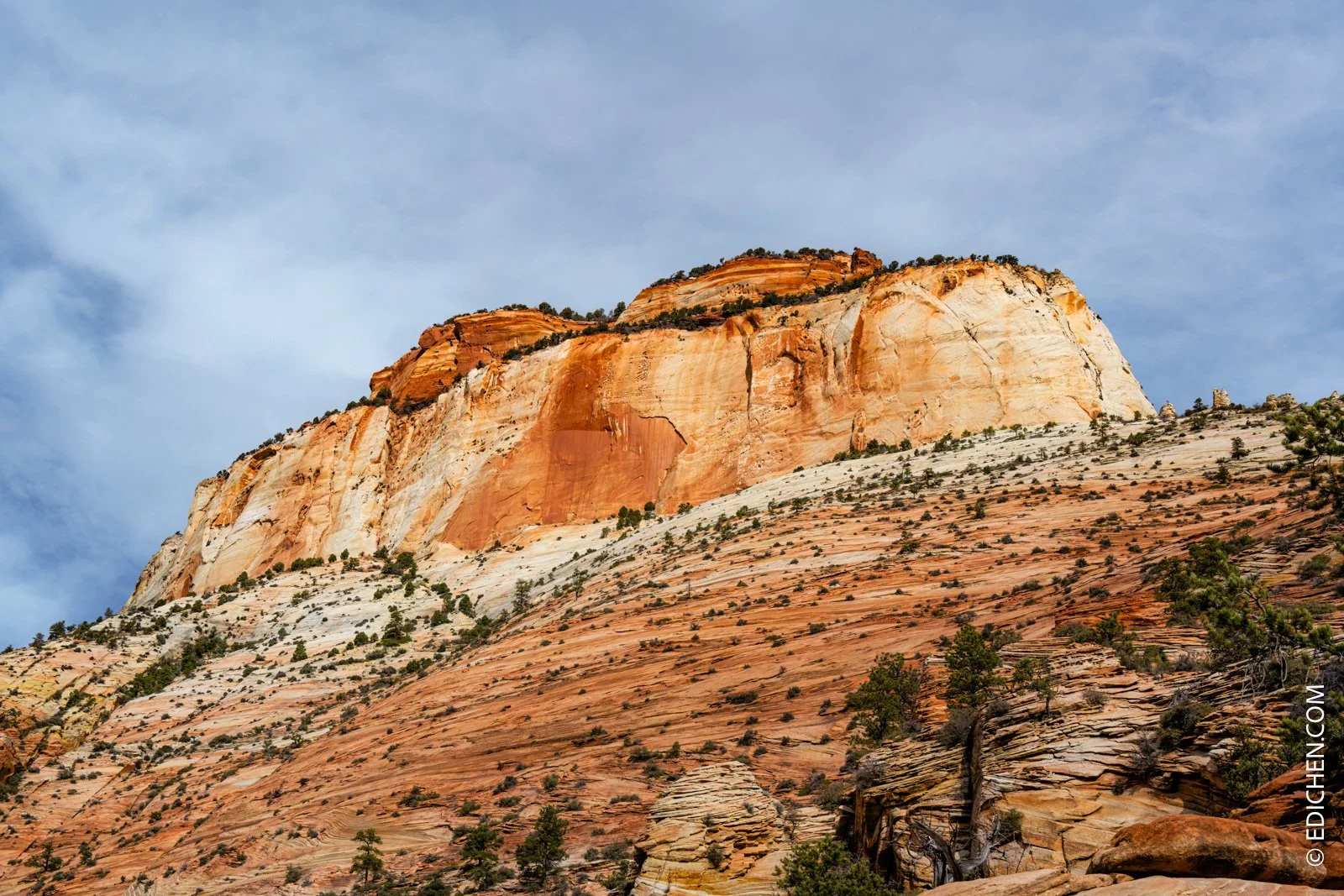 尼康28-400mm值不值得买，我的使用感受