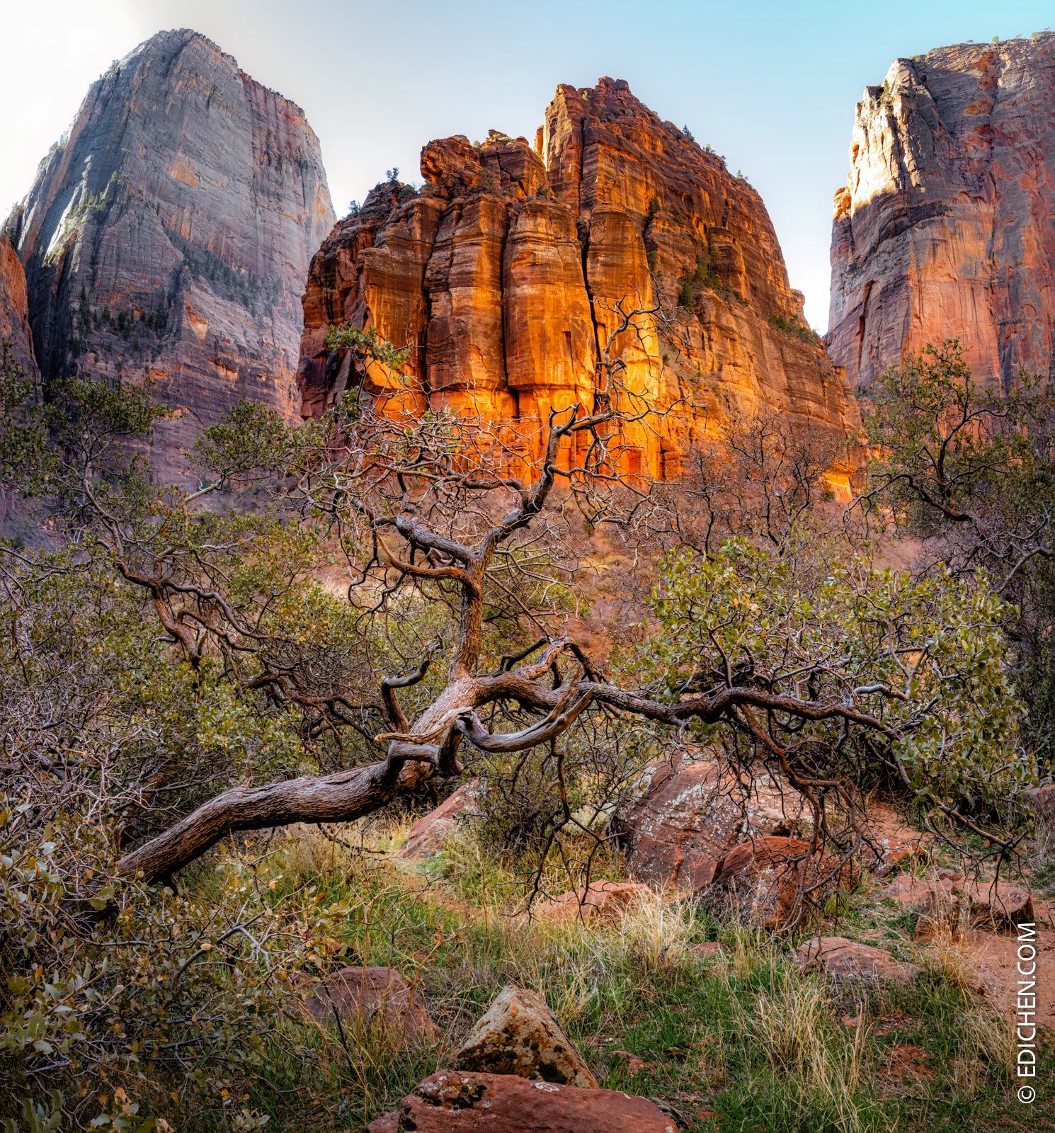 尼康28-400mm值不值得买，我的使用感受