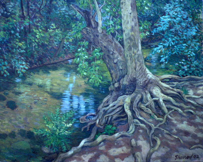Grand Daddy Tree / Oil Painting