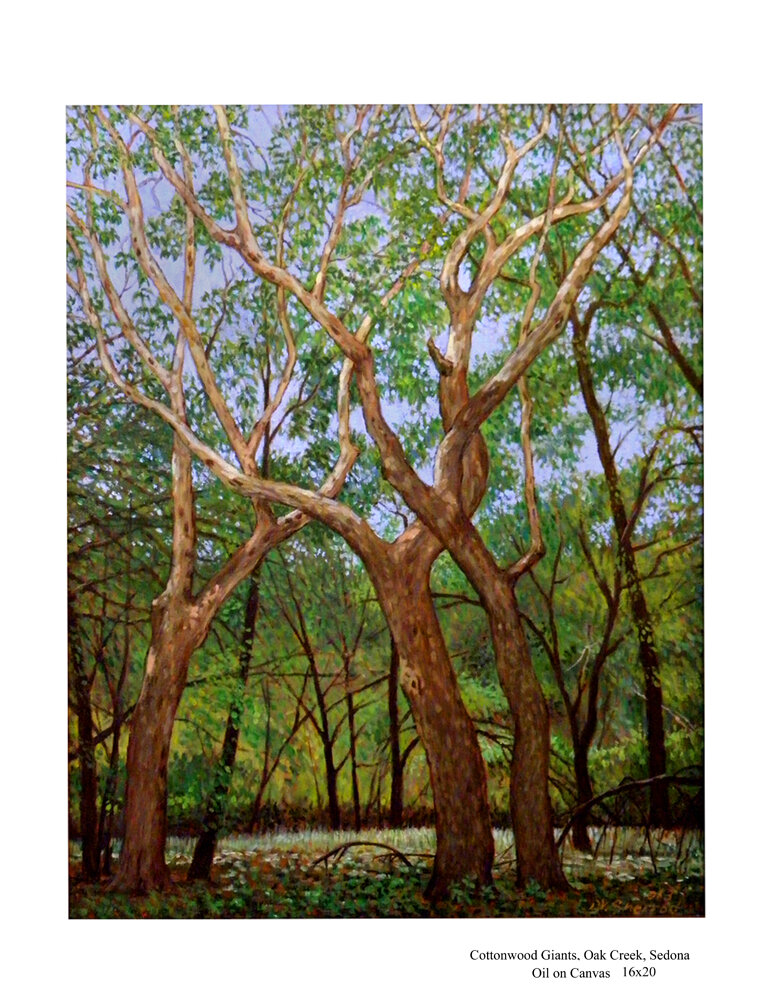 Cottonwood Trees near Oak Creek Sedona