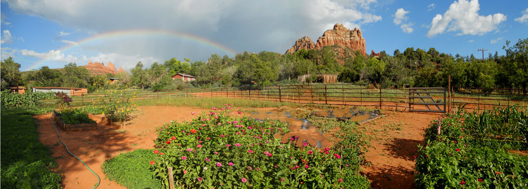 Proof God Loves my Garden