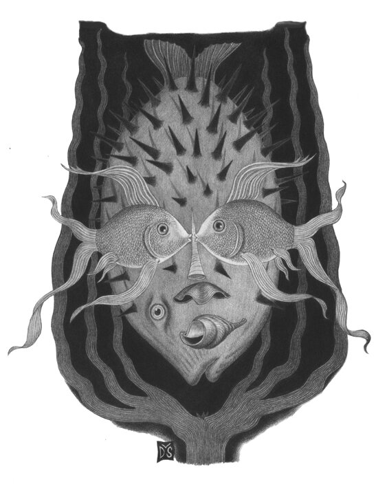 Fish Face