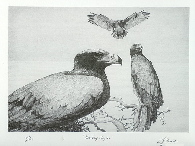 Nesting Eagles