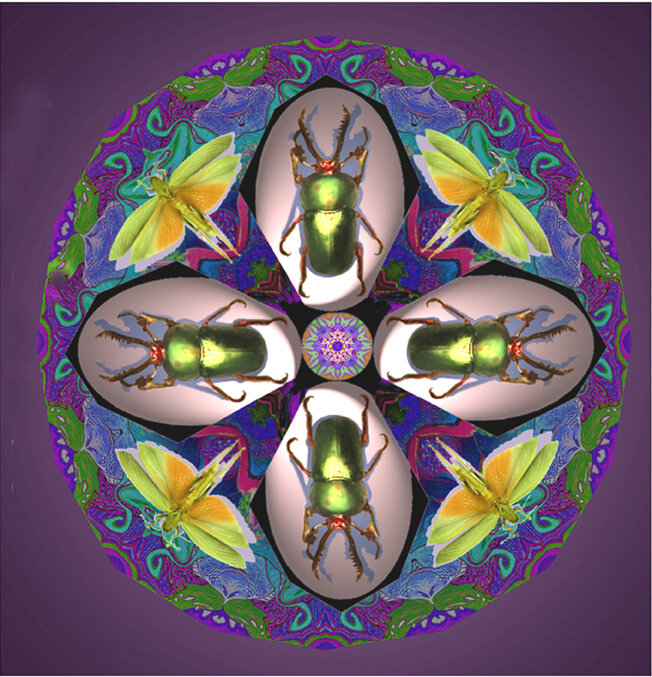 Scarobs and Grasshopper Mandala