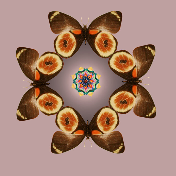 Butterfly with Mandala