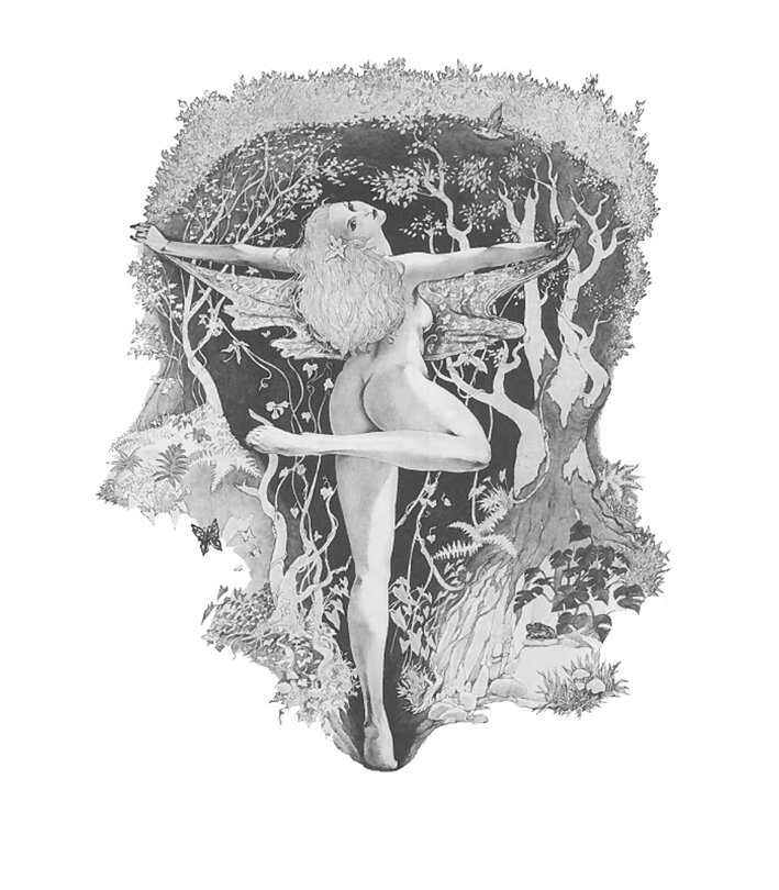 Wood Nymph