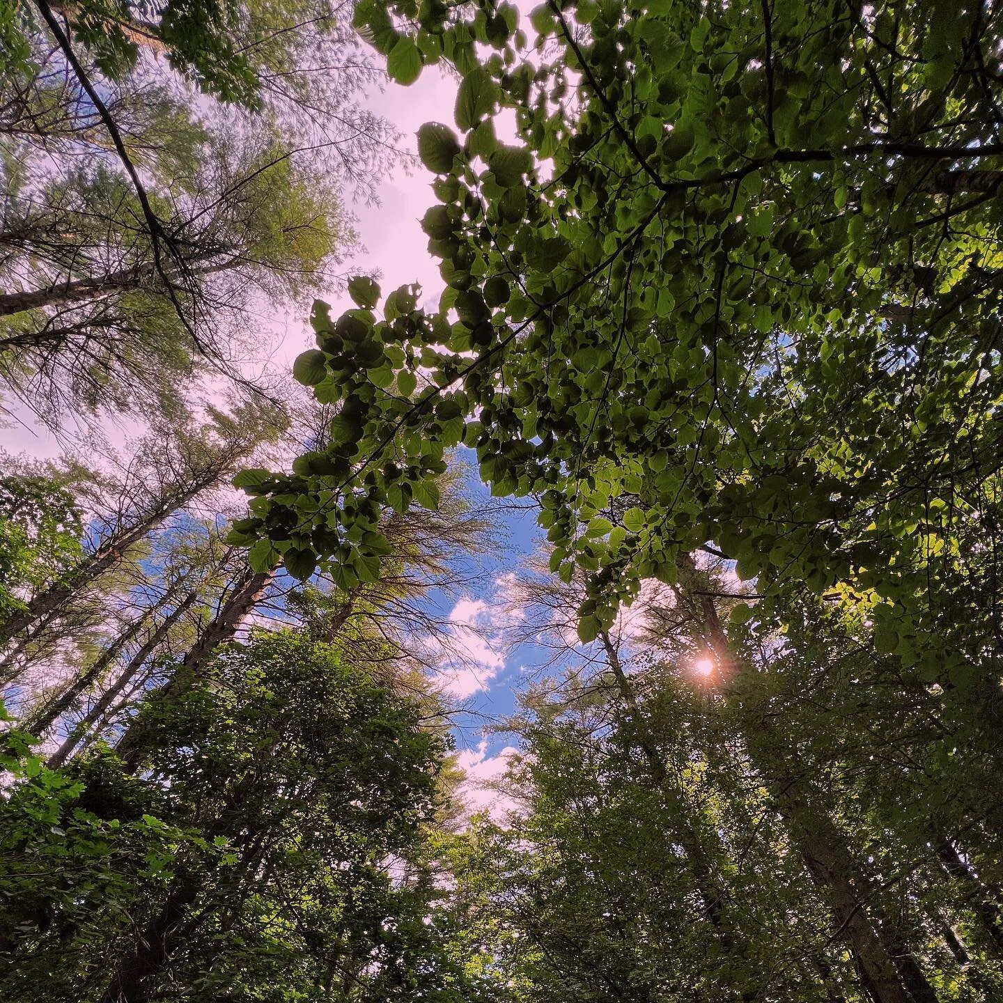 &ldquo;One day you will look back on this time, and all you will see is magic.&rdquo; 🤍

My husband reminded me that the busiest of times and the challenges of growth are what make the journey of life so magical. This morning I give thanks for my su