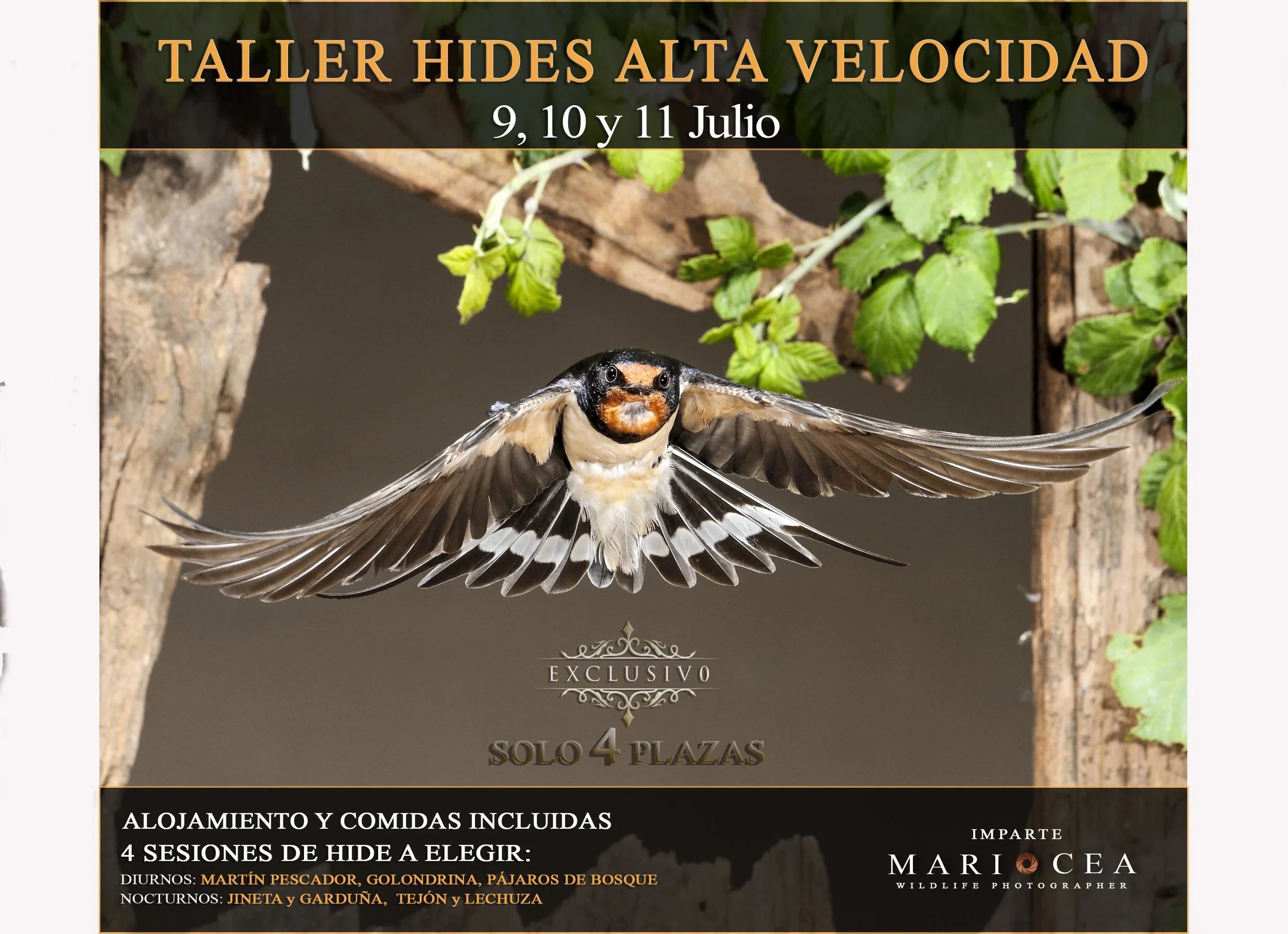 TALLER HIDES ALTA VELOCIDAD