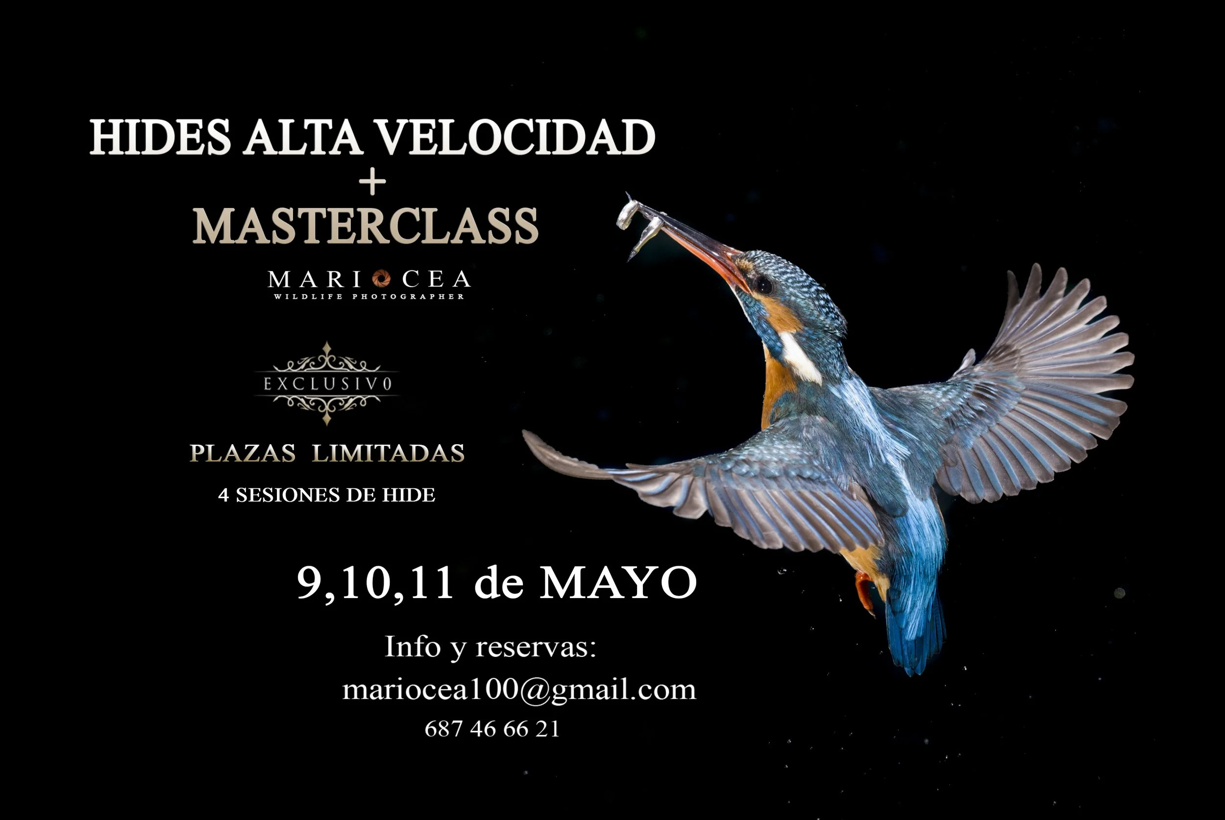 TALLER HIDES ALTA VELOCIDAD + MASTERCLASS FOTOGRAFIA CREATIVA 