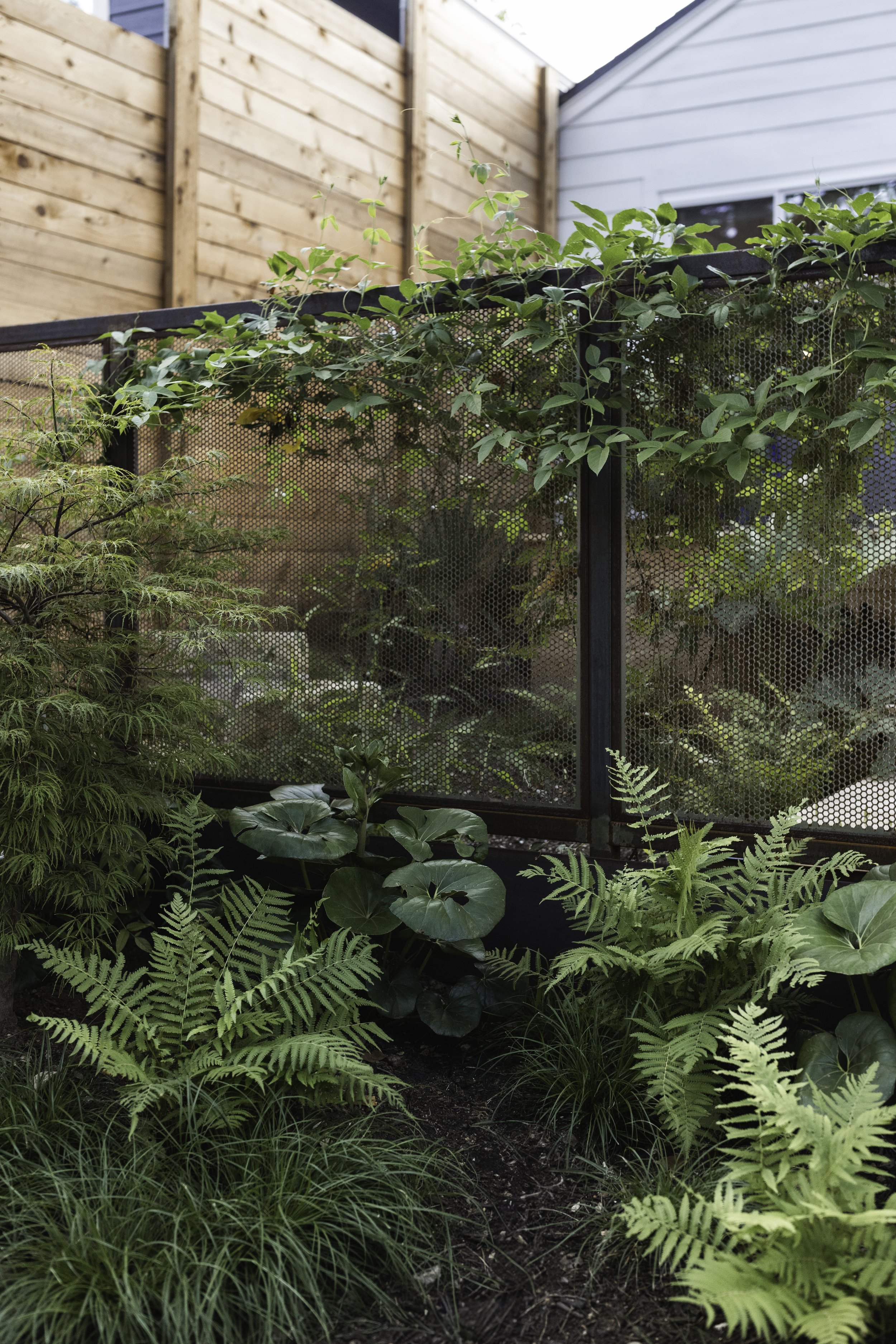 Runyon Media Co.-14.jpg