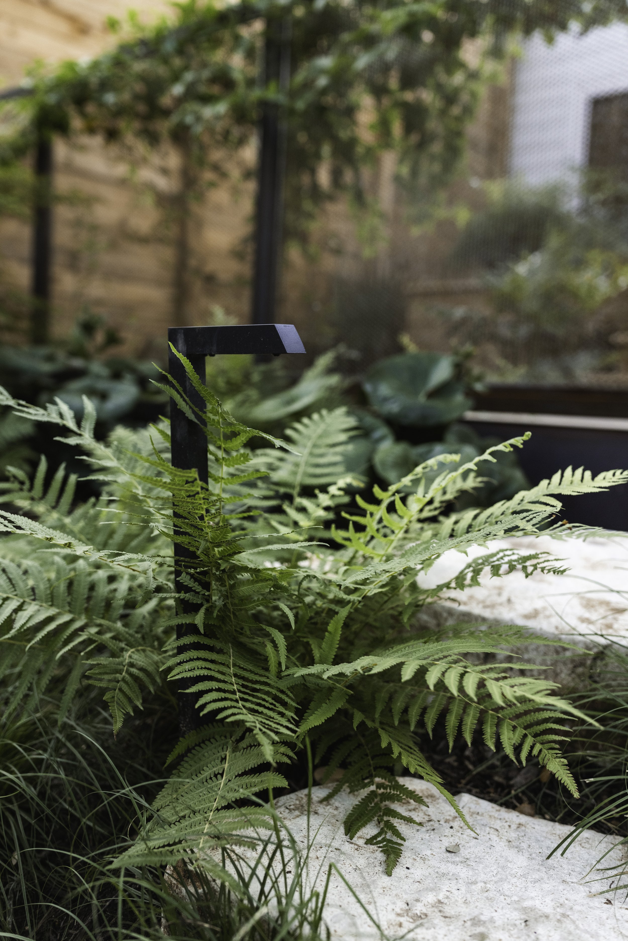 Runyon Media Co.-13.jpg