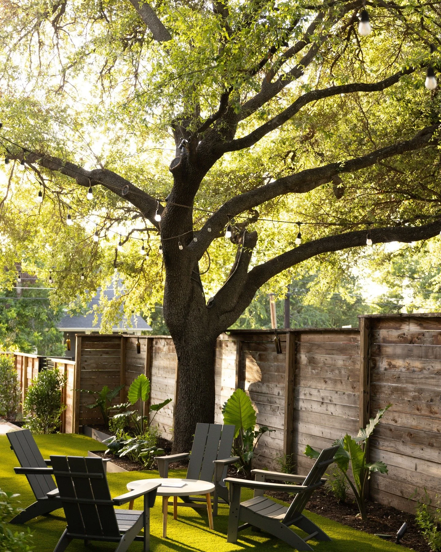 Some trees are too important to treat as an obstacle.
When we first walked this property, this mature oak immediately became the centerpiece of the design. Long before the house, the furniture, or even the people who live here today, this tree was al