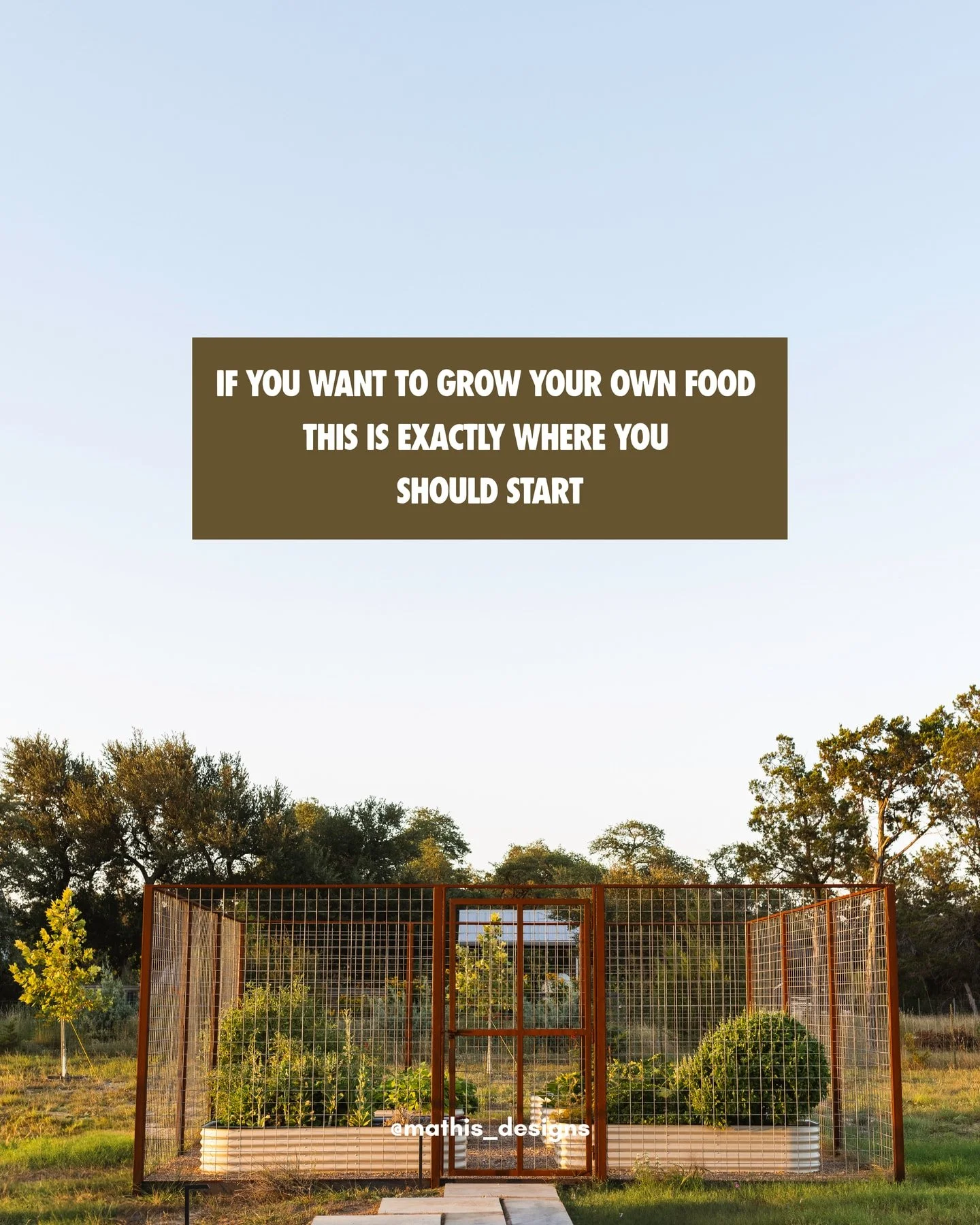 There&rsquo;s something deeply satisfying about stepping outside to gather a few ingredients for dinner. And here in Central Texas, fall gives us a chance to grow some of the things our summer heat makes difficult.

A successful food garden begins wi