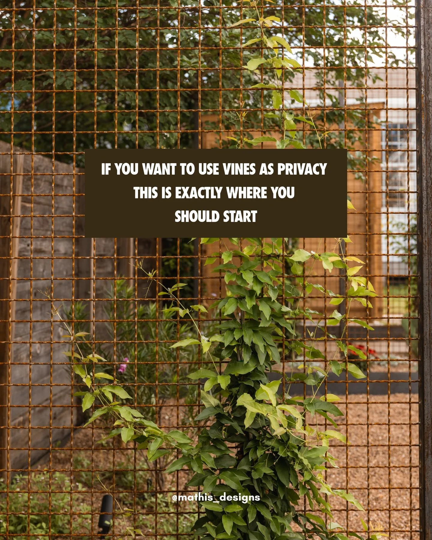 Privacy can make the difference between a patio you pass through and one where you settle in.

A vine-covered trellis can soften the view from a neighboring window, frame a seating area, or bring a sense of enclosure to a small courtyard. Leaves move