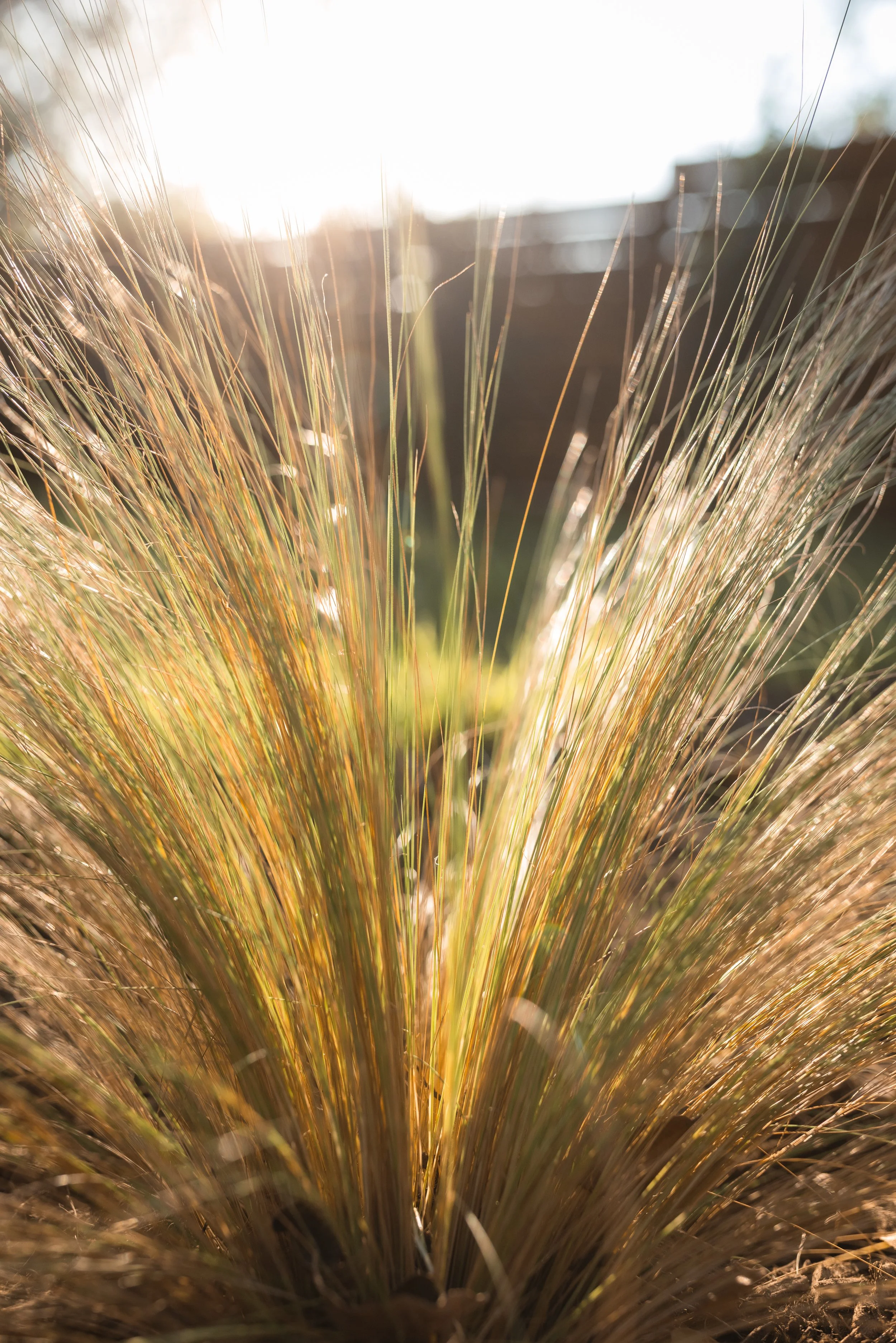 Runyon Media Co-12.jpg