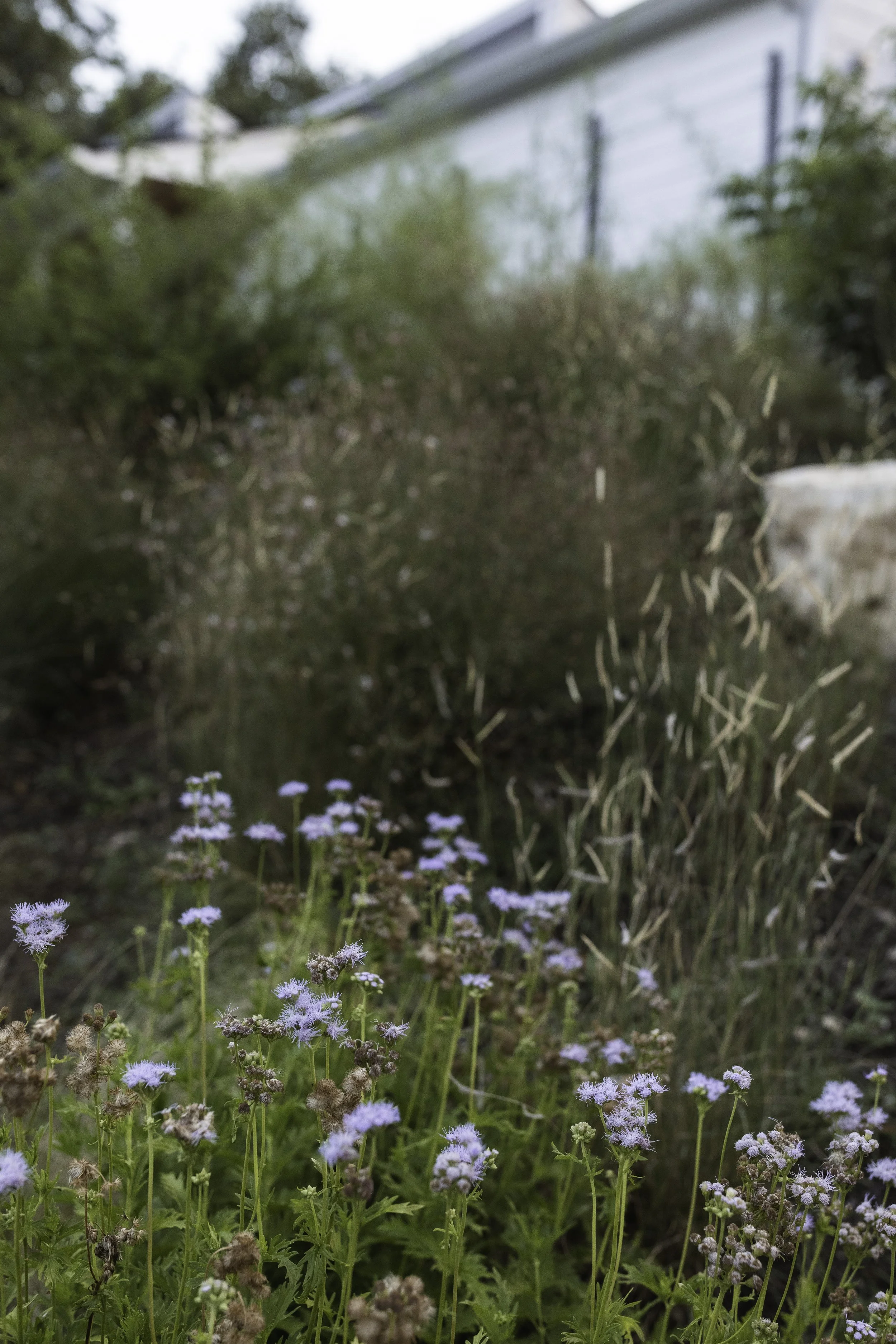 Runyon Media Co.-32.jpg