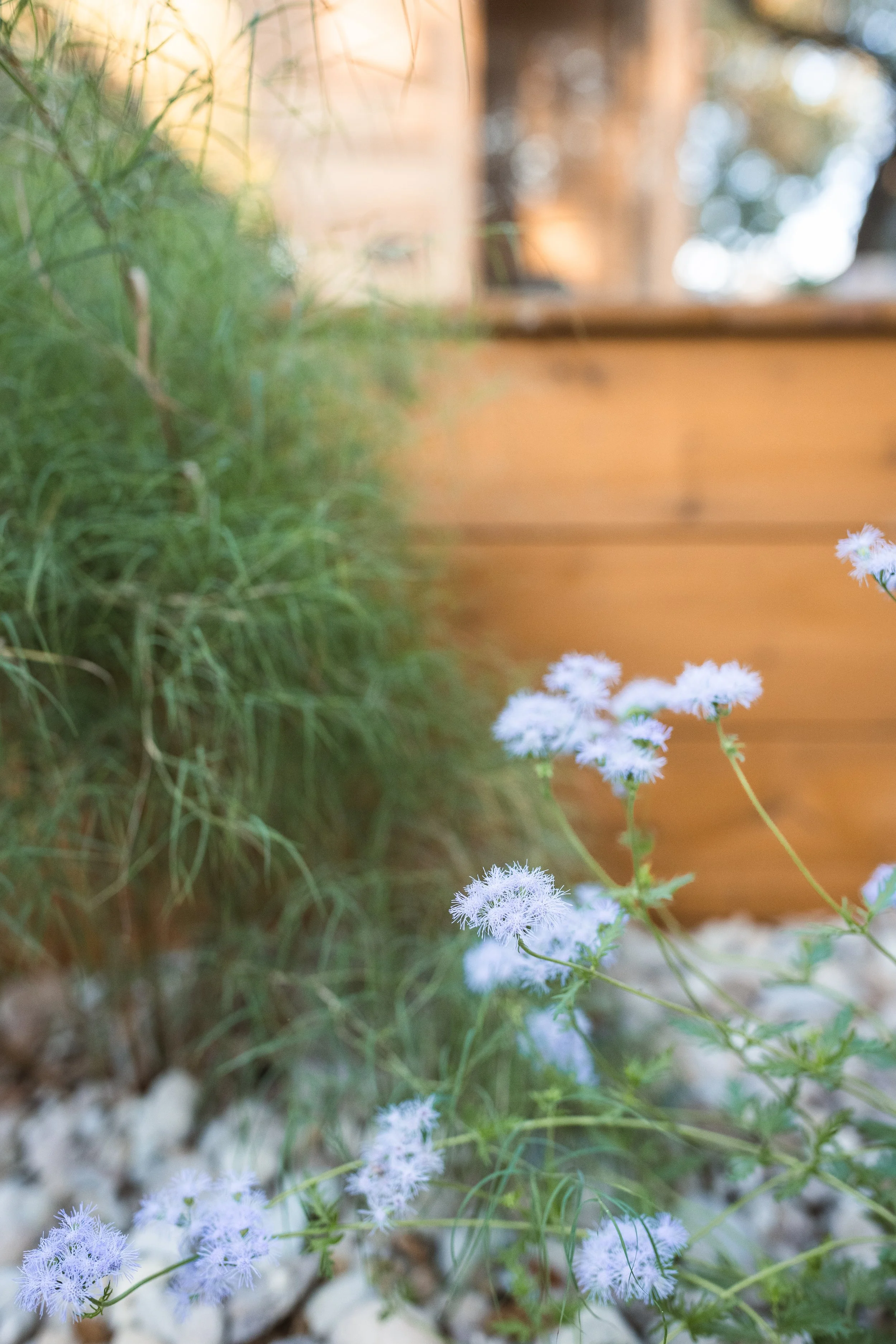 Runyon Media Co-28.jpg