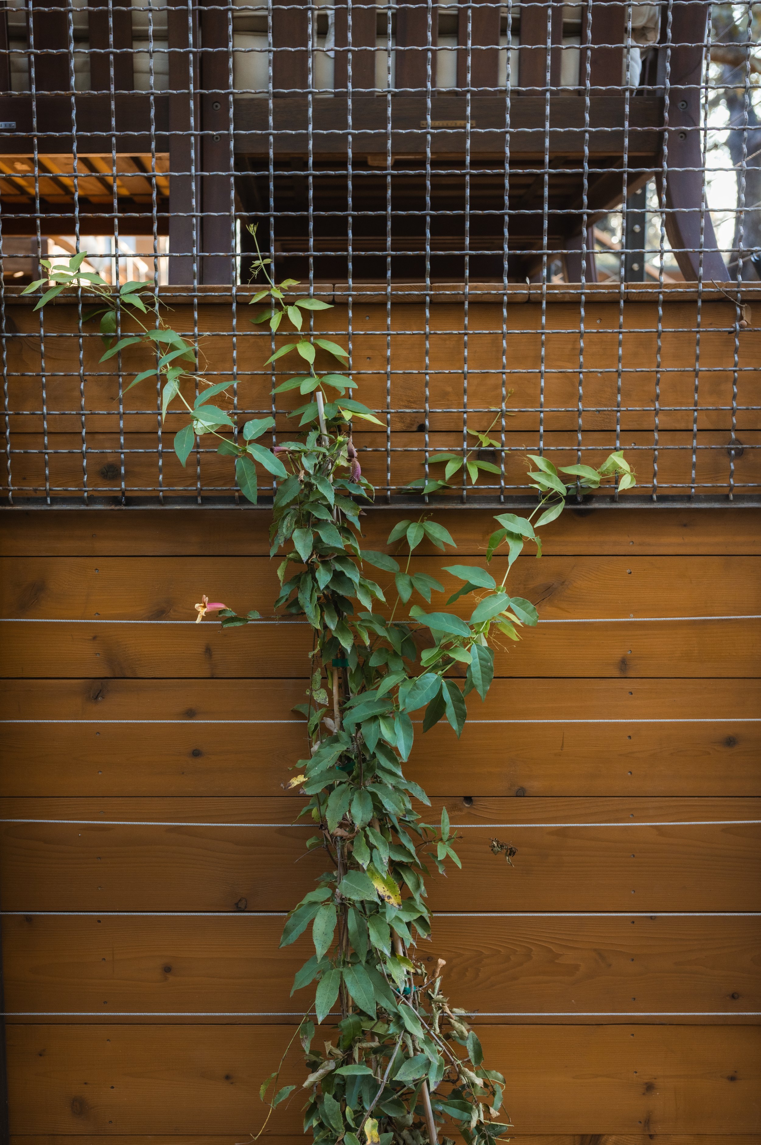 Runyon Media Co-3.jpg