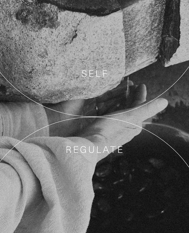 Regulation doesn&rsquo;t happen when you push harder.⁠
Or read another thread.⁠
Or open one more tab to fix whatever you&rsquo;re feeling.⁠
⁠
Regulation happens in the pause.⁠
In the moment you stop trying to be productive and let your senses lead ag