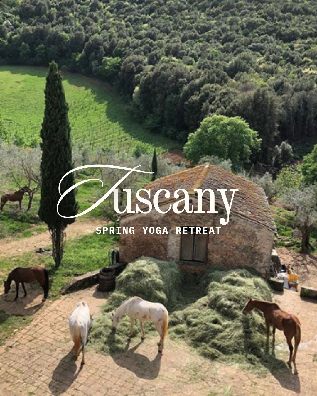 There&rsquo;s a quieter way to travel.⁠
To move.⁠
To live for a few days.⁠
⁠
Our Tuscany Spring Yoga Retreat is an invitation into slow mornings, grounding practice, shared meals, and wide open afternoons &mdash; held in the hills of Monteriggioni.⁠
