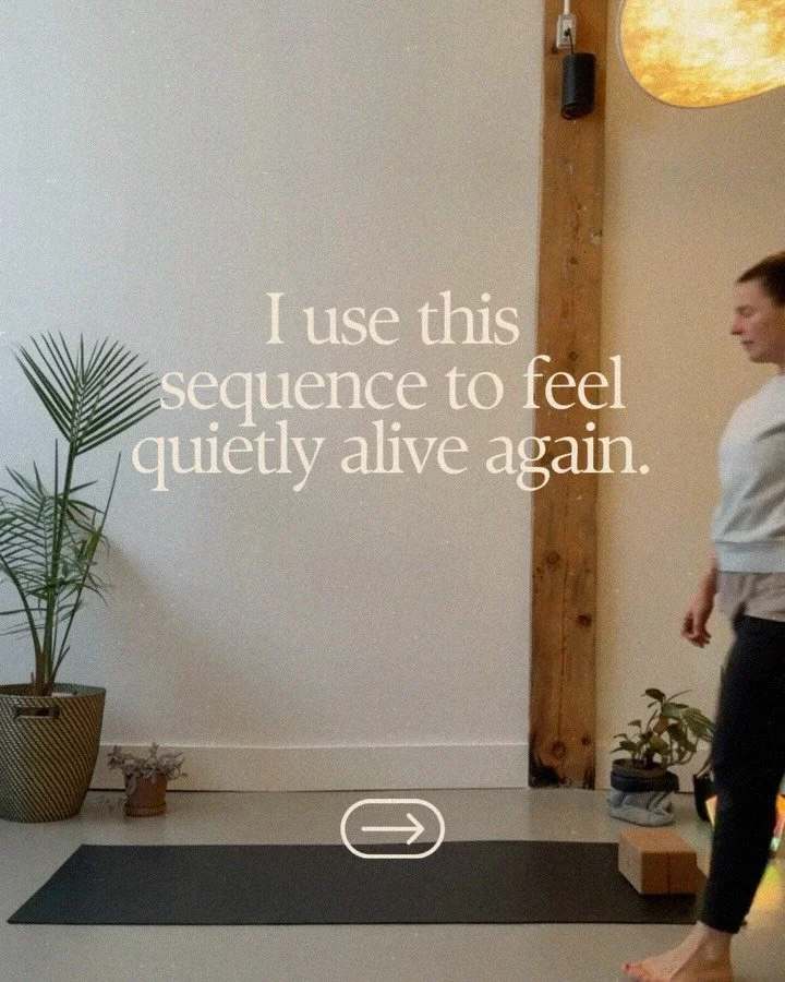 If your body feels a bit offline lately, try this.
No fixing.
Just enough movement to remind you you&rsquo;re here.

Mat + blocks by @bhalfmoon_official