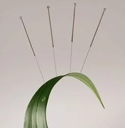 SPRING: Acupuncture + Soundbath