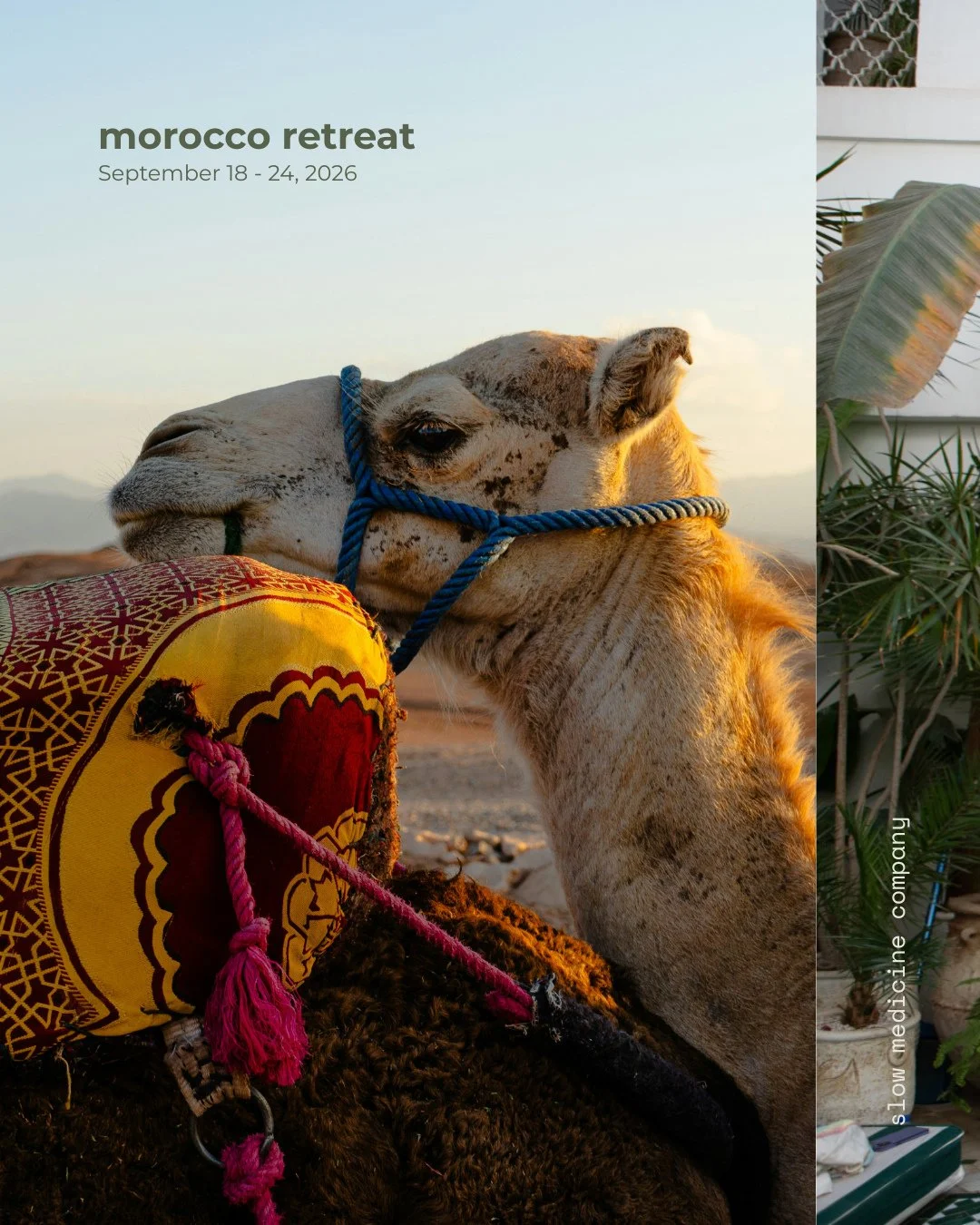 Marrakech is chaos.⁠
Colour. Heat. Sound.⁠
⁠
And then you step through the riad doors.⁠
⁠
Silence.⁠
Cool tile.⁠
Mint tea.⁠
Morning yoga practice before the city wakes.⁠
⁠
We&rsquo;ll wander the souks.⁠
Steam in a traditional hammam.⁠
Ride camels thro