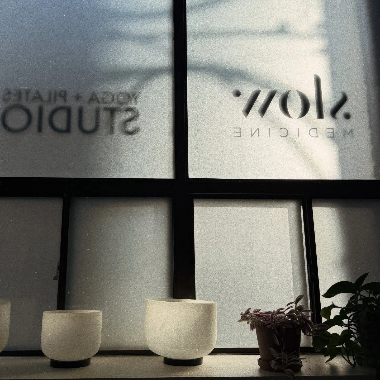 There&rsquo;s a tendency to pathologize winter.

Low energy &rarr; problem
Stillness &rarr; problem
Wanting less &rarr; problem

But biologically, that contraction makes sense.

Less light.
Altered circadian signaling.
A shift toward conservation.

N
