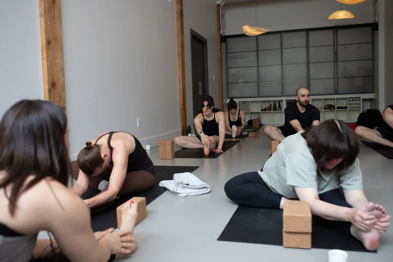 I think we put too much pressure on finding the right kind of movement.⁠
⁠
The right class. The right teacher. The thing your body is apparently supposed to need.⁠
⁠
I&rsquo;m more interested in what happens when you practice enough different things,