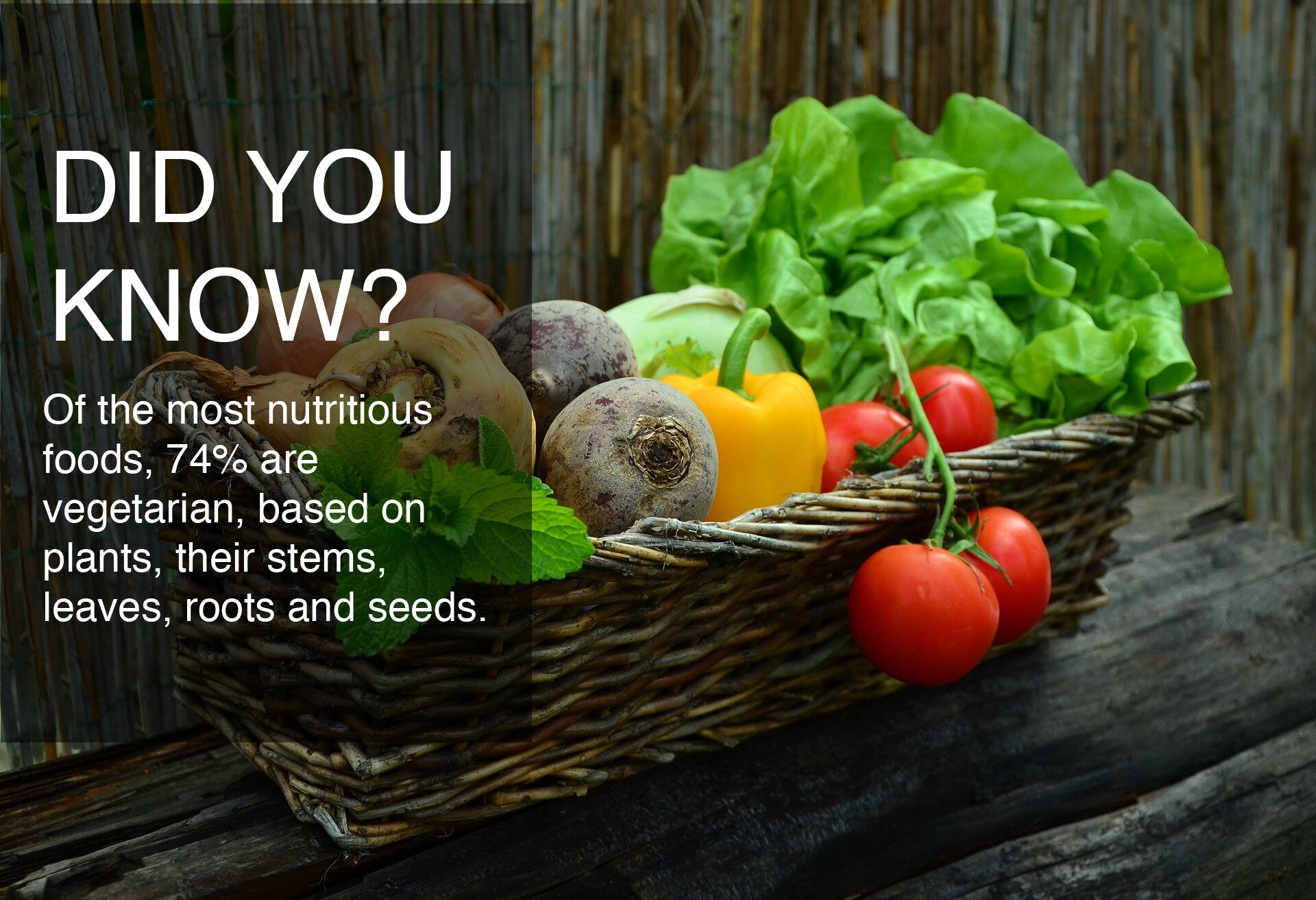 Did you know 3.jpg