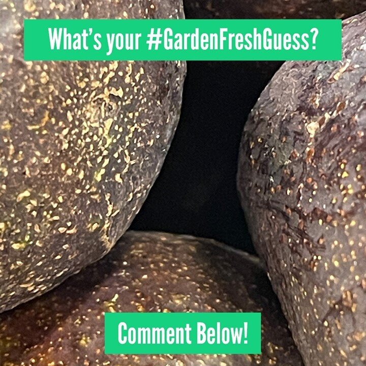 So, what's your #GardenFreshGuess on this one? Here's a hint: this popular item is a STAPLE in your favorite Mexican spread...comment below with your guess!👇