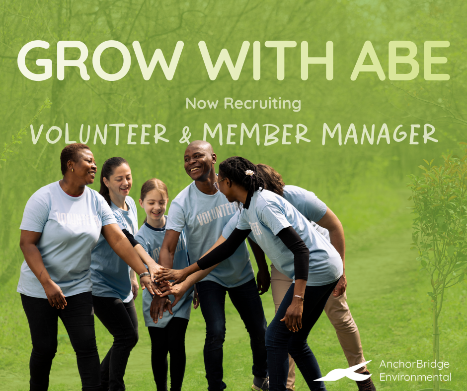 Member &amp; Volunteer Manager ToR