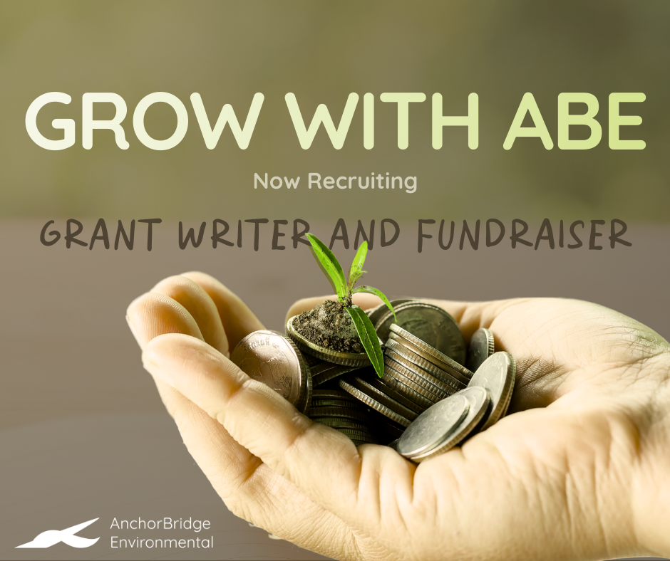 Grant Writer &amp; Fundraiser ToR