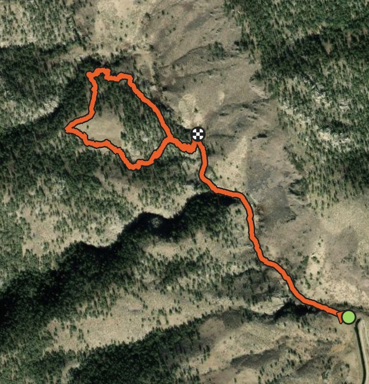 Lone Tree Meadow Loop