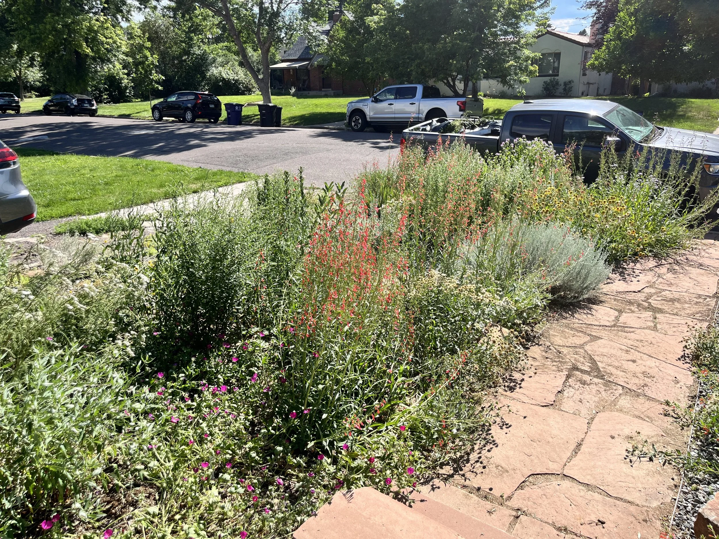 POLLINATION STATION.