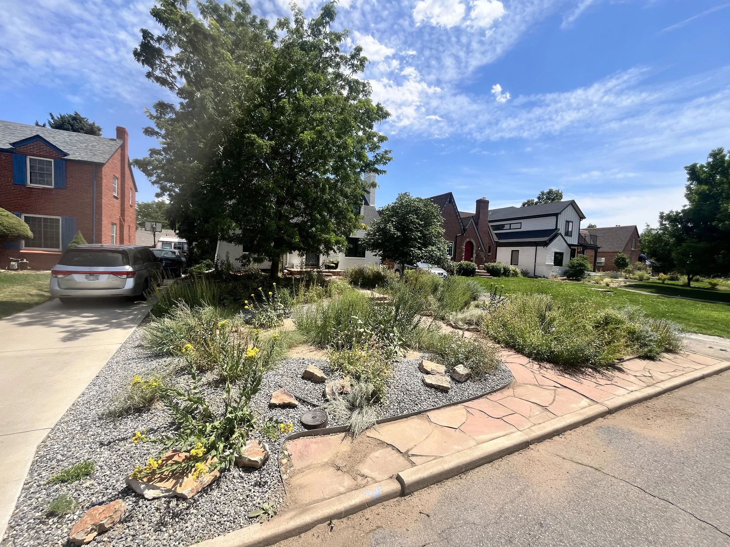 POLLINATION STATIONS + GUILD.